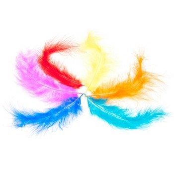 Ozdoba dekoracyjna PIÓRKA YM-004 308968