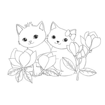 Kolorowanki B5, galeria 6 GAL-104