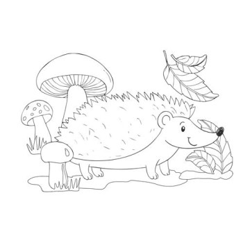 Kolorowanki B5, galeria 8 GAL-106