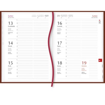 Terminarz A5 Popularny - bordowy T-209V-B Michalczyk i Prokop