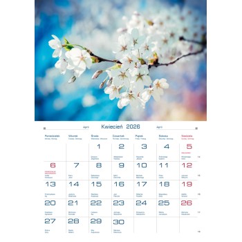 Terminarz DOMOWY - barwy natury TW-10-5 Michalczyk i Prokop