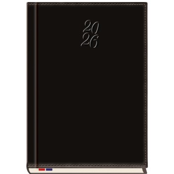 Terminarz B5 Asesor T-249N-59 Michalczyk i Prokop