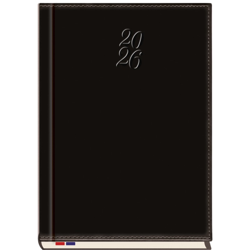 Terminarz B5 Asesor T-249N-59 Michalczyk i Prokop