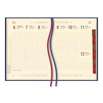 Terminarz B5 Asesor T-249N-59 Michalczyk i Prokop