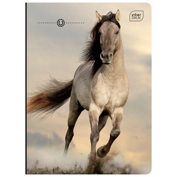 Zeszyt A5 32k kratka margines GIRLS mix INTERDRUK