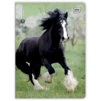 Zeszyt A5 32k 3-linia UV mix INTERDRUK