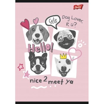 Zeszyt A4 32k linia laminowany MIX chłopięcy UNIPAP