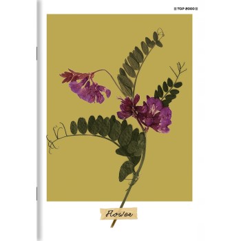 Zeszyt A5 80k linia margines MEGAMIX 400183668 TOP 2000