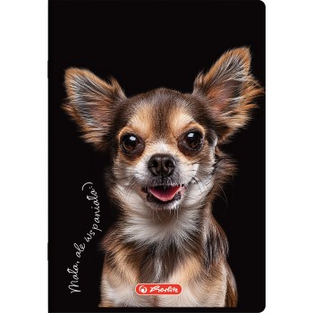 Zeszyt szkolny A5 60 kartek w linie 70g CRAZY ANIMAL 400196838 HERLITZ