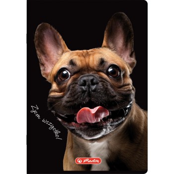 Zeszyt szkolny A5 60 kartek w linie 70g CRAZY ANIMAL 400196838 HERLITZ