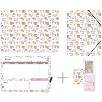 Zestaw szkolny z nadrukiem KITTENS KPL-NADRUK-01-35 BIURFOL