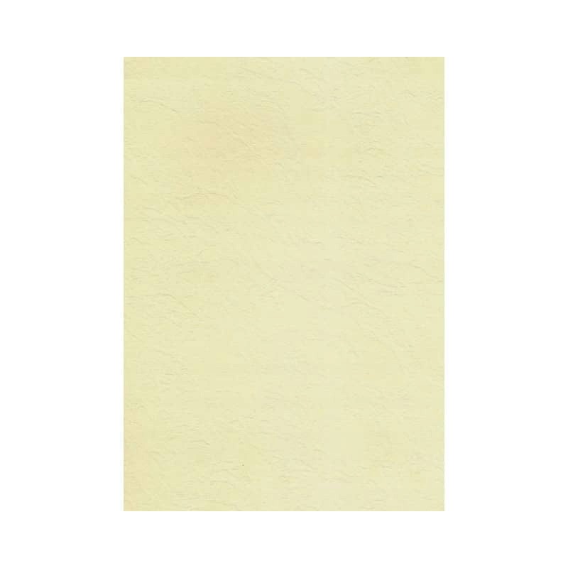 Karton wizytówkowy A4 KRESKA 246g (20 arkuszy) W45 tapeta ecrue