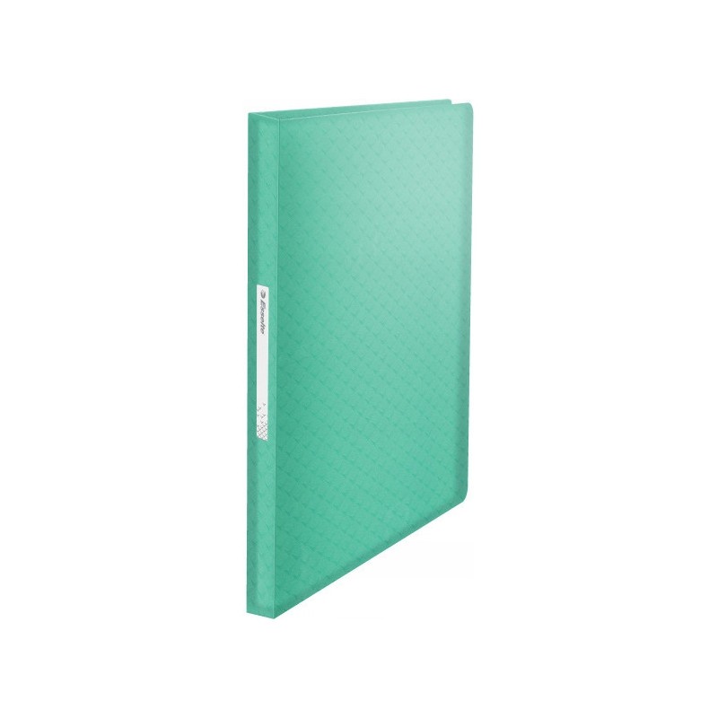Album ofertowy na dokumenty A4 80 kieszeni Colour`Breeze zielony 626238 ESSELTE