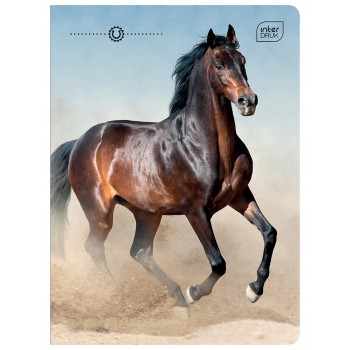 Zeszyt A5 16k kratka mix wzorów INTERDRUK