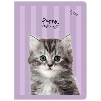 Zeszyt A5 16k kratka mix wzorów INTERDRUK