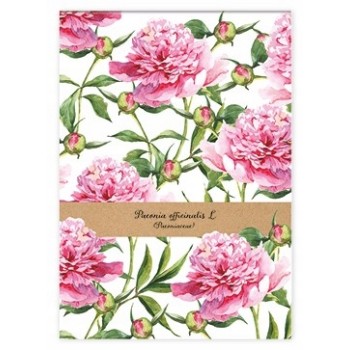 Notes A7 50k kratka ONE COLOR INTERDRUK