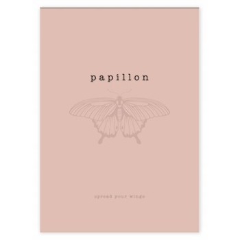 Notes A7 50k kratka ONE COLOR INTERDRUK