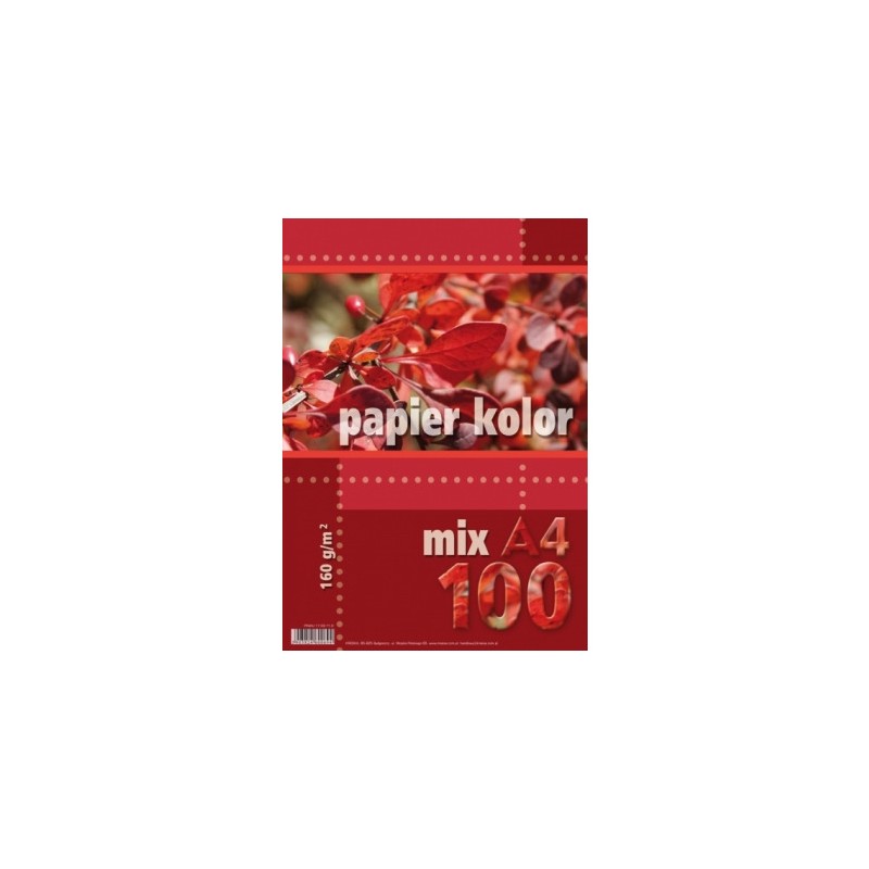 Papier ksero A4 160g KRESKA mix kolorów 100ark
