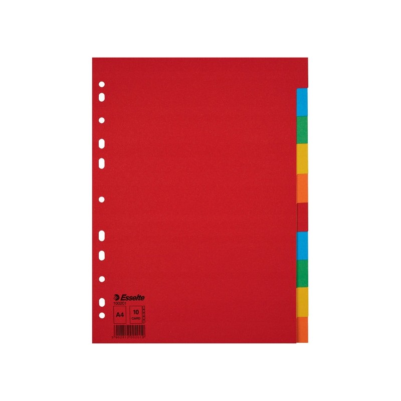 Przekładki karton A4 10 kart ESSELTE 100201 kolorowe bez karty opisowej