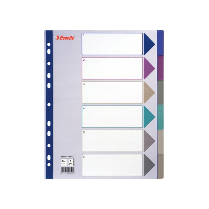 Przekładka PP A4 MULTICOLOR 6 kart 20647 MAXI ESSELTE