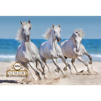 Terminarz DOMOWY - konie TW-10-6 Michalczyk i Prokop