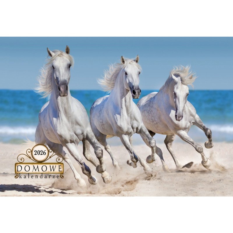 Terminarz DOMOWY - konie TW-10-6 Michalczyk i Prokop