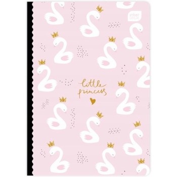 Zeszyt A5 16k kratka TREND GIRLS INTERDRUK