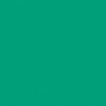 Papier ksero A4 80g TROPHEE intesywna zieleń choinkowa XCA41783