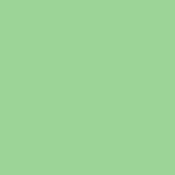 Papier ksero A4 80g TROPHEE XCA41775 zieleń naturalna CLAIREFONTAINE