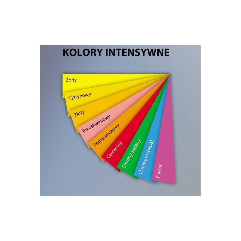 Papier ksero A4 80g c.niebieski xem408051 EMERSON