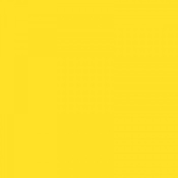 Papier ksero A4 160g EMERSON sunflower 1053