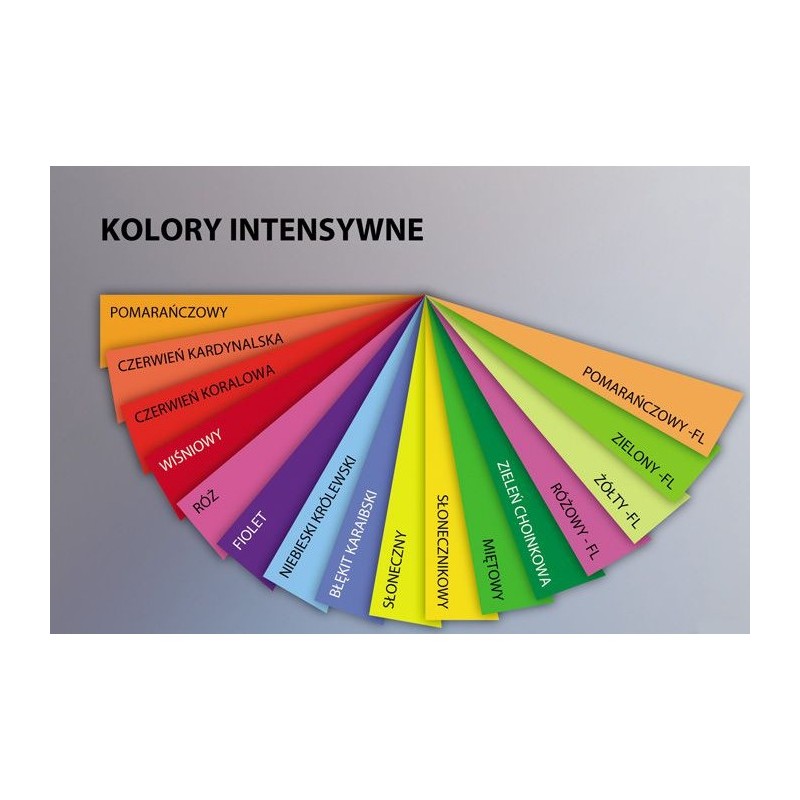 Papier ksero A4 80g TROPHEE zielony fluo 2975 500ark