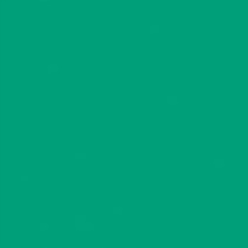 Papier ksero A4 160g zieleń choinkowa 250ark 1019