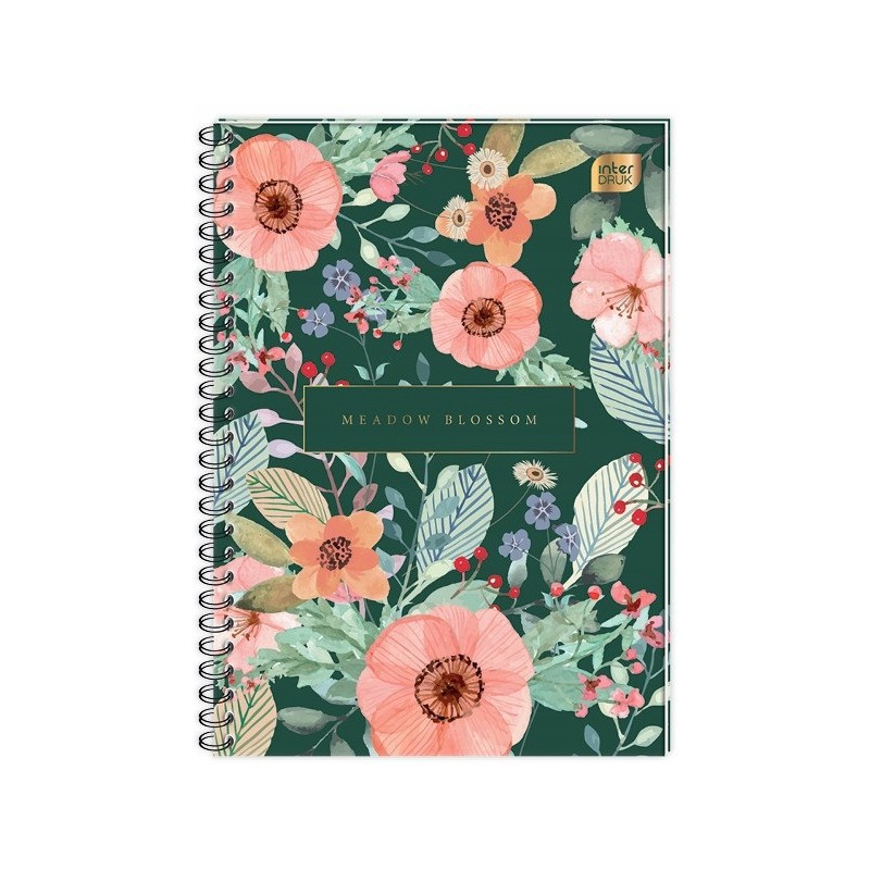 Kołobrulion B5 160k kratka z kolorowymi marginesami INTERDRUK