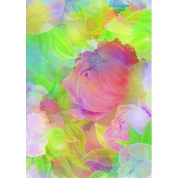 Brulion 300k B5 twarda oprawa KRESKA