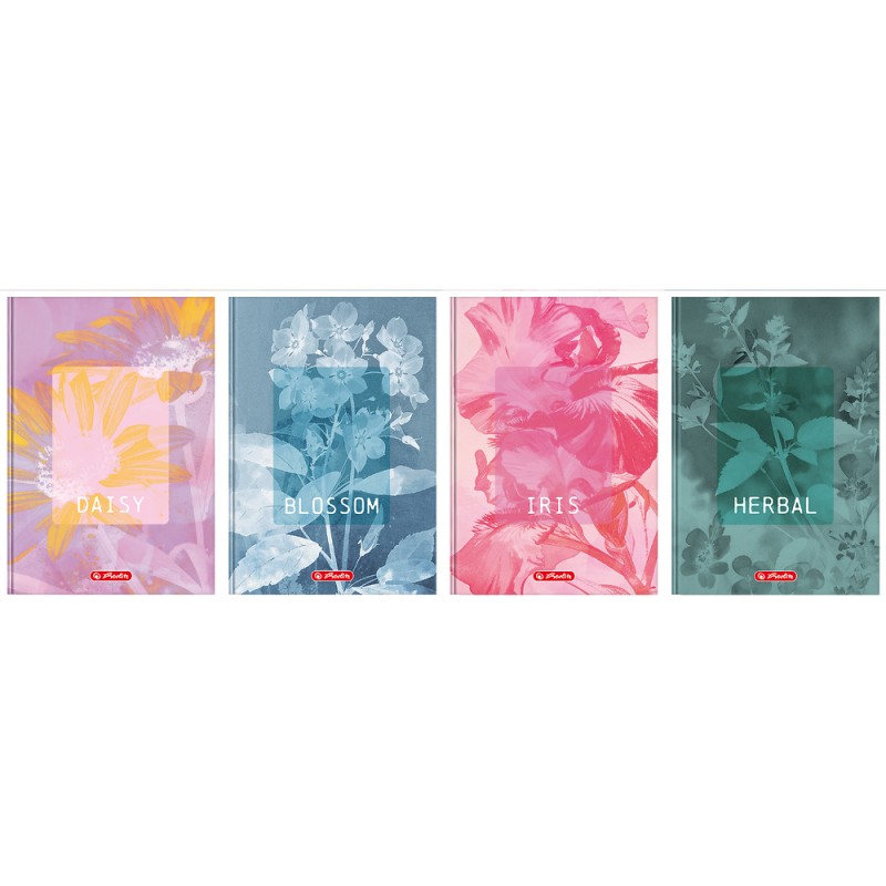 Brulion A5 96k kratka z marginesem BLOSSOM 400206436 HERLITZ