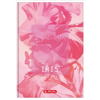 Brulion A5 96k kratka z marginesem BLOSSOM 400206436 HERLITZ