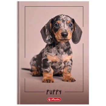 Brulion A4 96k linia z marginesem mix okładek 400207787 HERLITZ