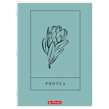 Zeszyt A4 60k linia z marginesem mix 400206364 HERLITZ