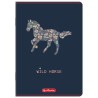 Zeszyt A5 60k linia z marginesem mix 400206346 HERLITZ