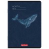Zeszyt A5 60k linia z marginesem mix 400206346 HERLITZ