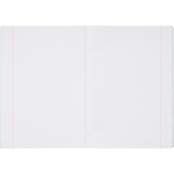 Zeszyt A5 80k kratka z marginesem RAINBOW 400197906 HERLITZ