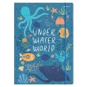 Teczka kartonowa z gumką C4 mix wzorów 400164933 HERLITZ