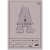 Blok rysunkowy A4 20 100g ACADEMY
