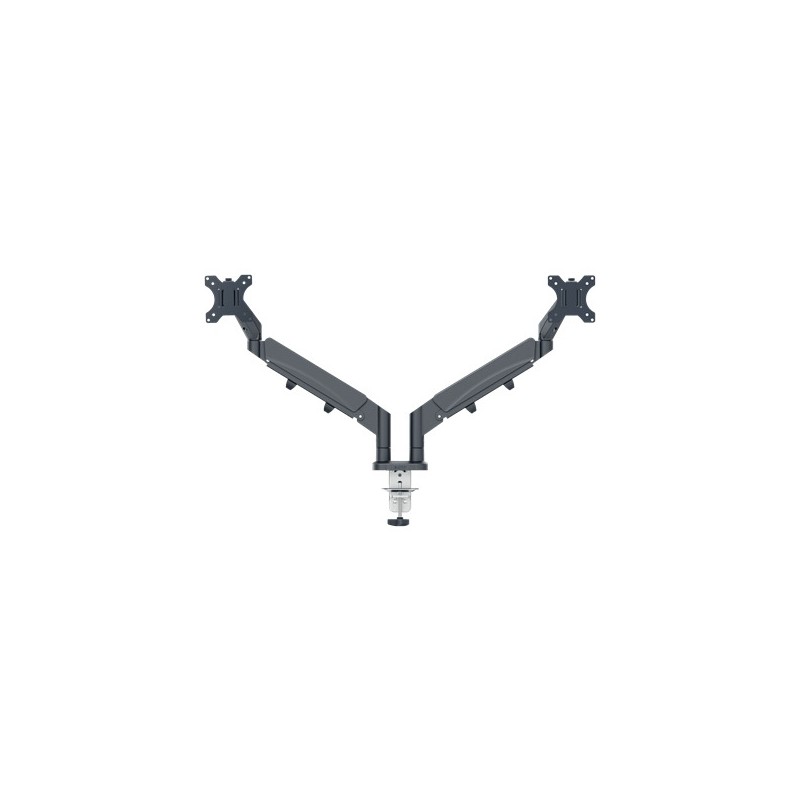 Ramię do monitora podwójne Ergo ciemnoszare 65370089 LEITZ