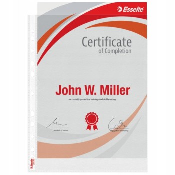 Koszulki groszkowe na dokumenty A4 MAXI 100mic 25 sztuk 259760 ESSELTE