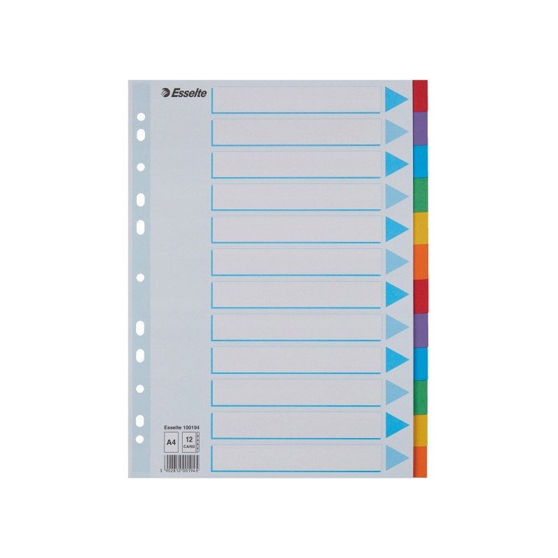 Przekładki kolorowy karton z kartą opisową A4 100194 12 kart ESSELTE
