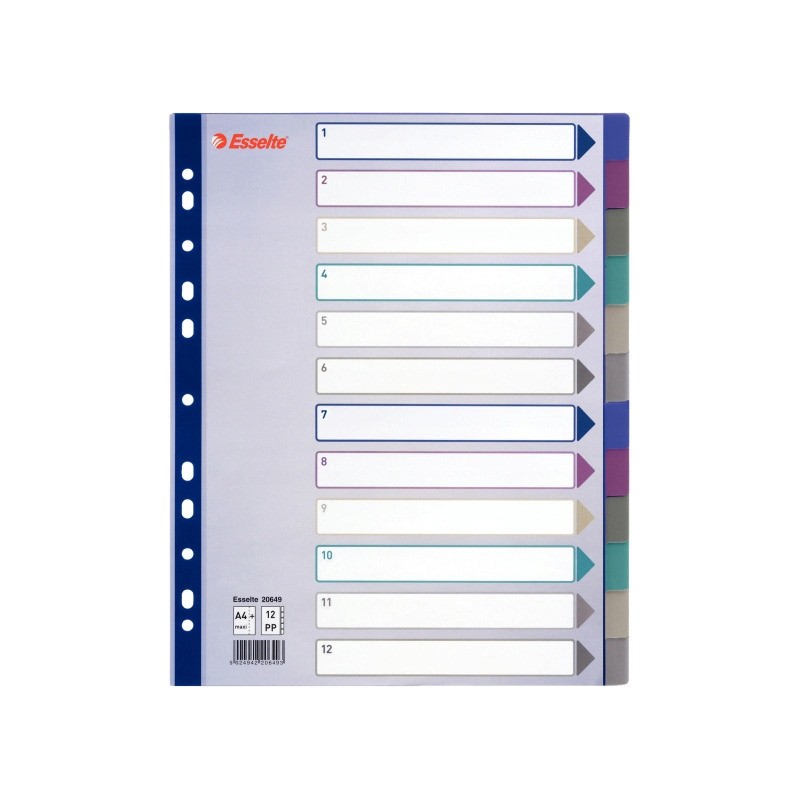 Przekładka PP A4 MULTICOLOR 12kart 20649 MAXI ESSELTE