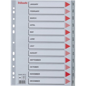 Przekładki plastikowe szare PP A4 12 miesięcy numeryczne 100114 ESSELTE