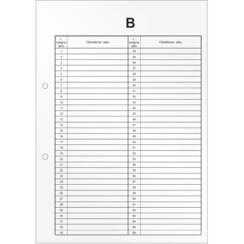 Przekładki do akt osobowych B Wkład do segregatora 10 arkuszy DRU-055B BIURFOL